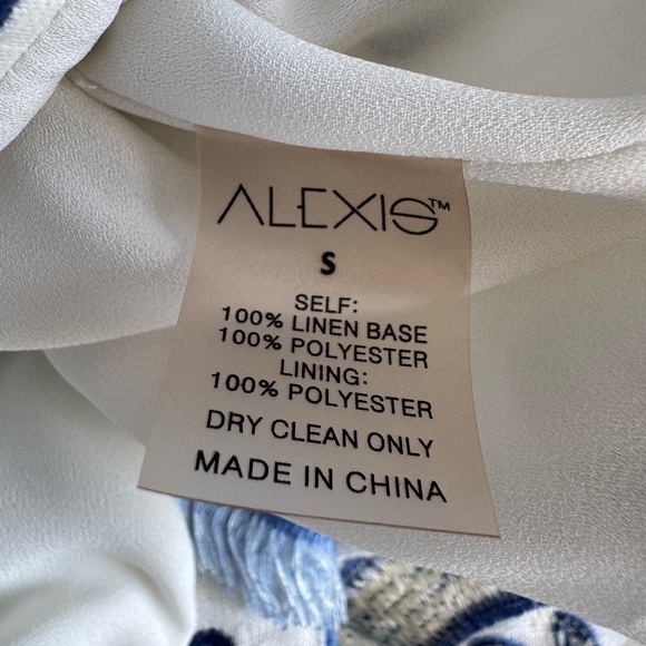 Alexis San Paolo Embroidered Blue and White Linen Toile Dress - Picture 6 of 10